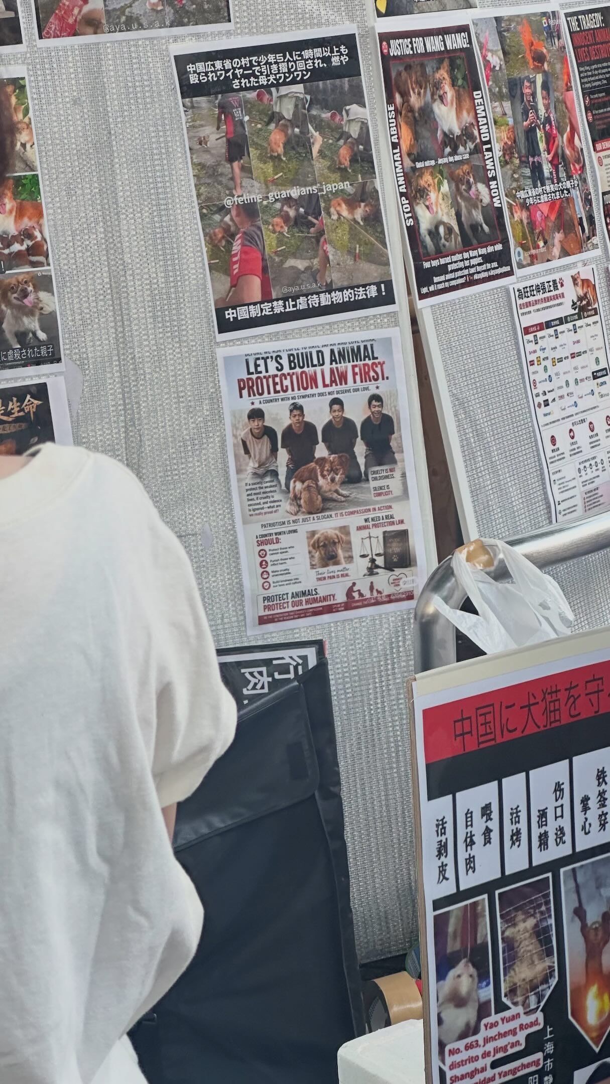 Eine Wand oder Stellwand voller Plakate mit Fotos von Wangwang und anderen Hunden sowie Text auf Chinesisch und Englisch, der dazu aufruft, zuerst einen besseren Schutz für Tiere zu schaffen. Im Vordergrund steht ein Unterstützer mit dem Rücken zur Kamera.