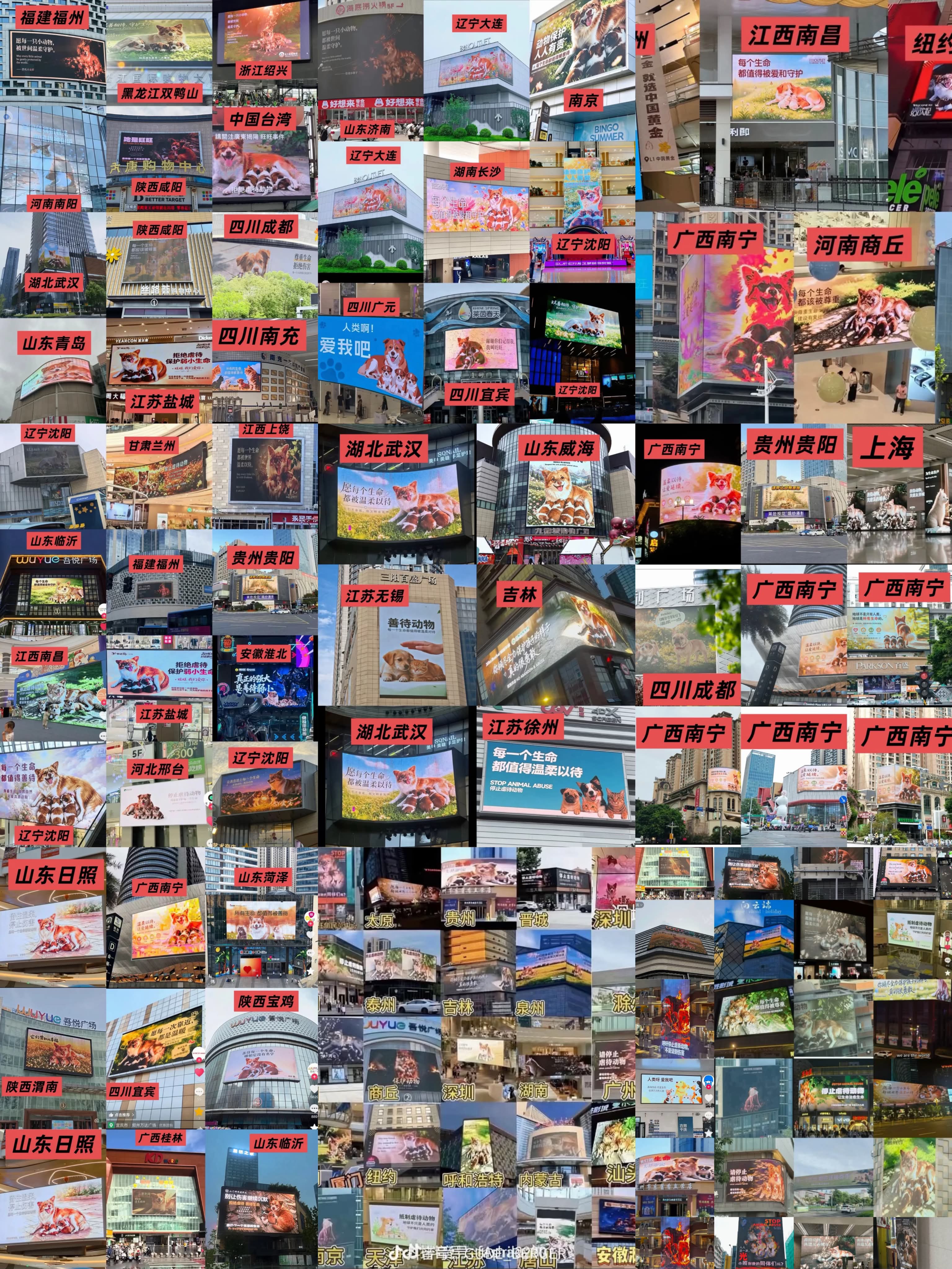 Eine Collage aus Auszügen von Berichten oder Artikeln über Tierschutz, Unternehmensethik und gesellschaftliche Themen.