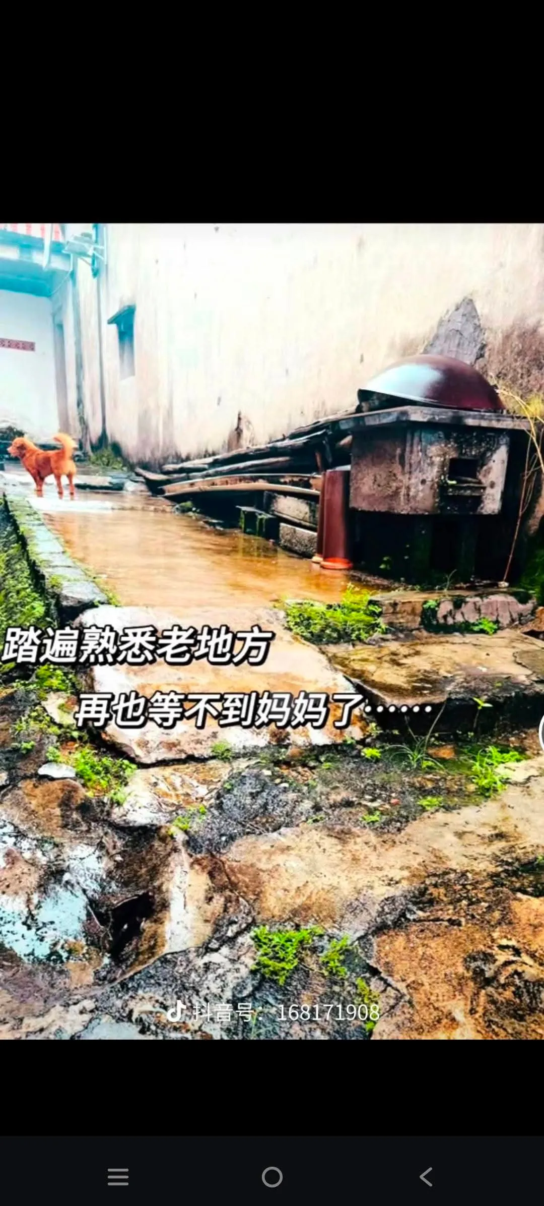 Videostandbild: eine alte Gasse nach dem Regen, Wasser steht auf dem Boden, zu beiden Seiten Ziegelmauern und gestapelte Gegenstände, in der Ferne die Gestalt eines Hundes. Weißer Text in der Mitte lautet „Alle vertrauten Orte abgelaufen / doch Mama kommt nicht mehr“.