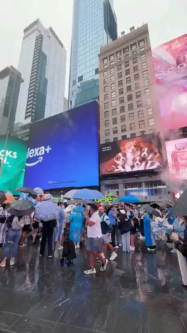Times Square in New York an einem Regentag: Eine große Menschenmenge steht unter Schirmen, während vorn auf einem großen LED-Bildschirm Aufnahmen von Wangwang und ihren Welpen laufen, umgeben von weiterer Werbung und Hochhäusern.