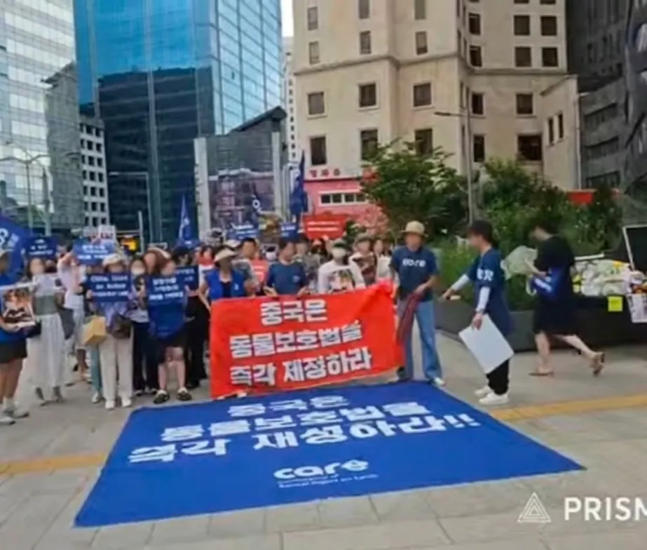 Eine Straßenkundgebung: Dutzende Teilnehmende in gleichen Oberteilen stehen auf einem Platz, davor ein rotes Transparent und eine blaue Bodenmatte mit Losungen auf Koreanisch, die bessere Regelungen zum Schutz von Tieren fordern. Dahinter moderne Gebäude und eine Straße.