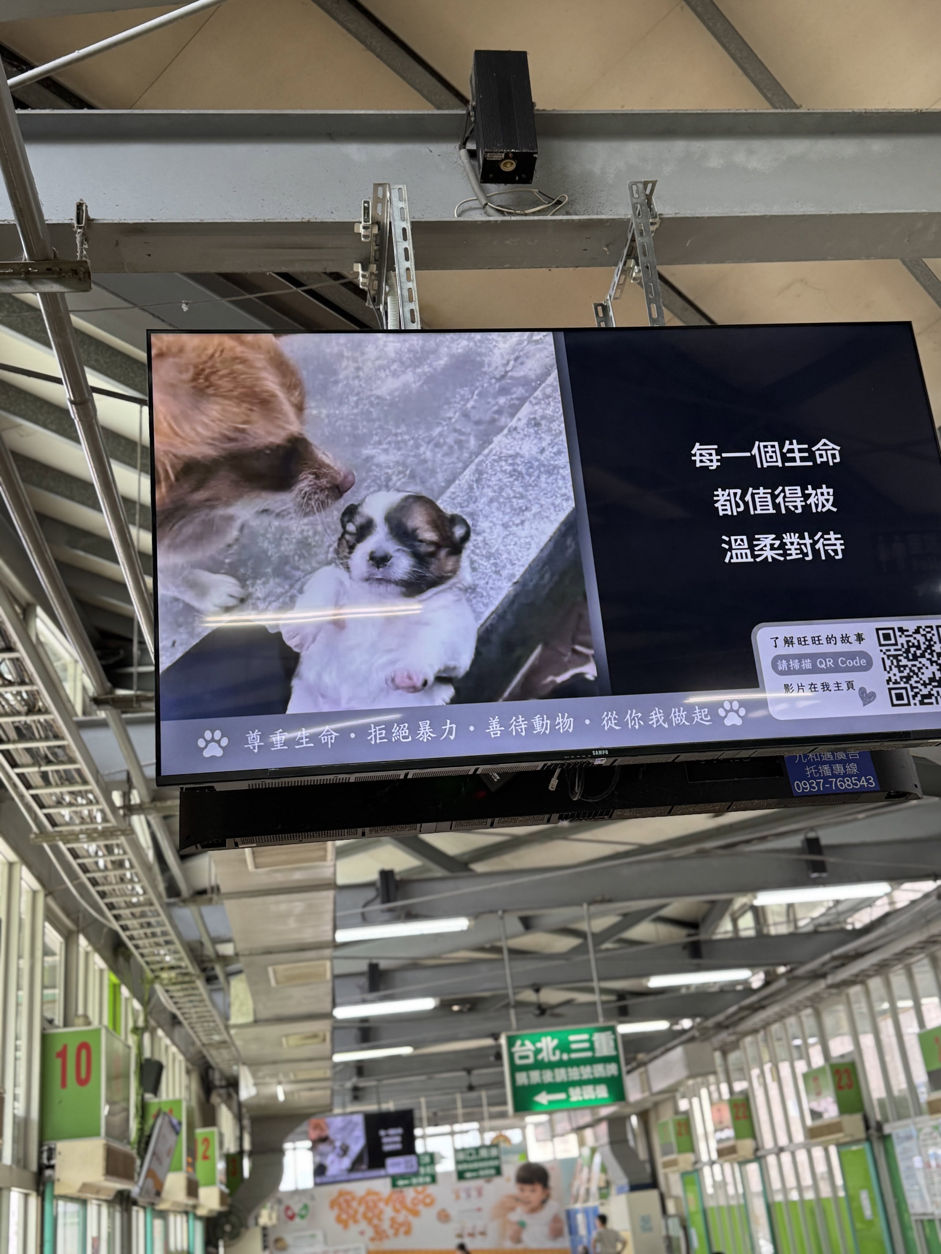 Ein hängender elektronischer Bildschirm auf einem Bahnsteig, dessen Beschilderung in traditionellen chinesischen Schriftzeichen gehalten ist. Links ein Foto eines Welpen, der in Händen gehalten wird; weißer Text rechts lautet „Jedes Leben / verdient es, mit Sanftmut / behandelt zu werden“, darunter „Das Leben achten · Gewalt zurückweisen · Tiere gut behandeln“ und ein QR-Code.