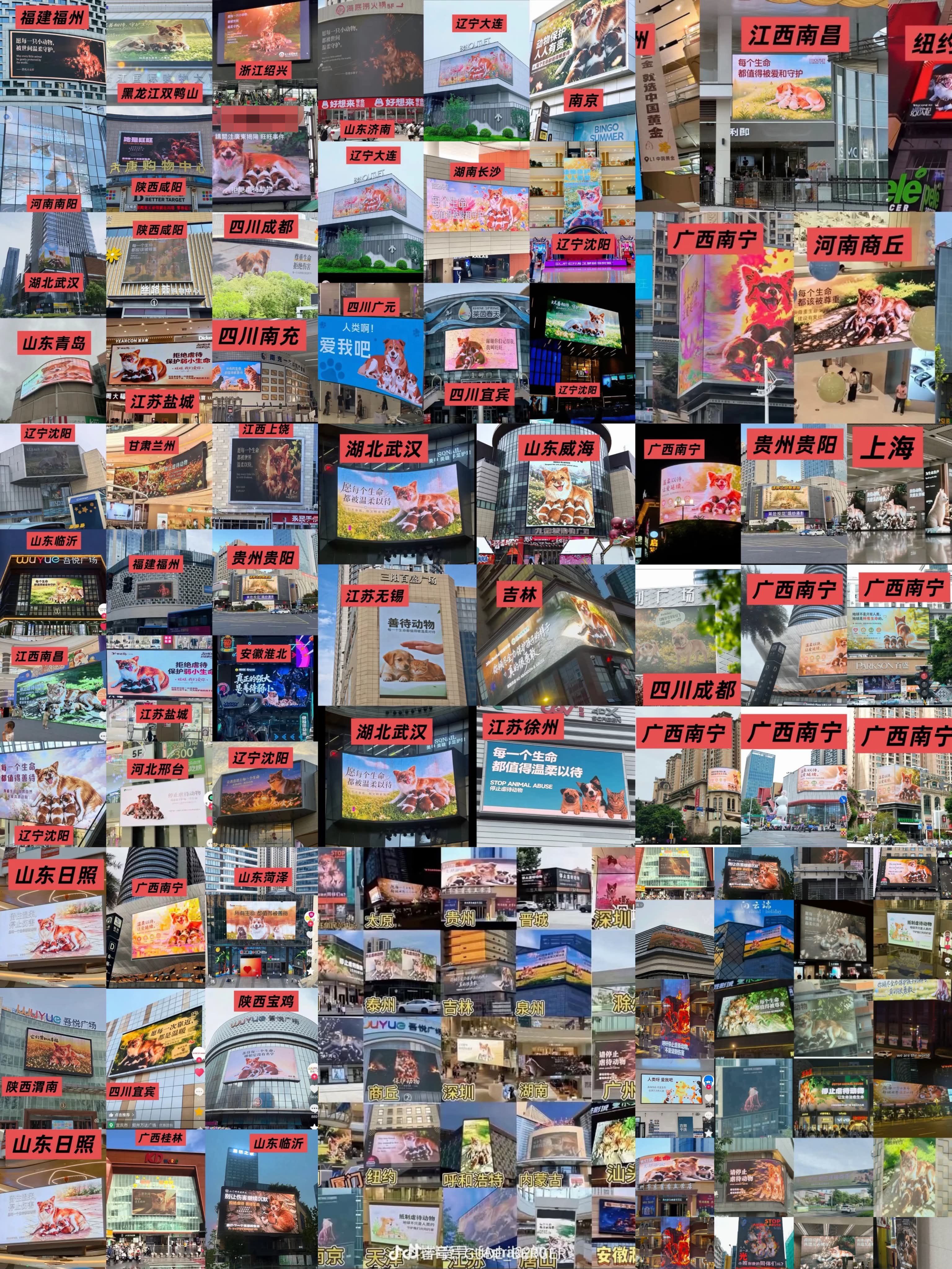 Bildschirmfoto eines Quellbeitrags (Konto verdeckt, Datum erhalten)