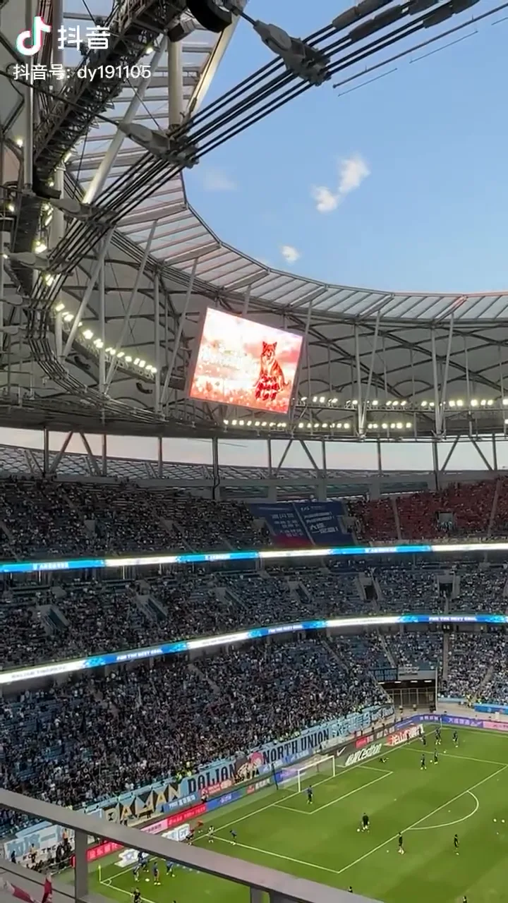 Zwei Wochen später erschien Wangwang in einem Stadion während eines Spiels